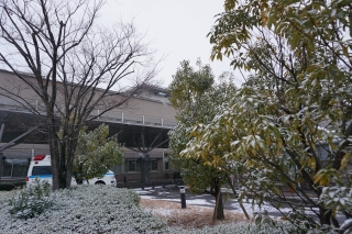 雪